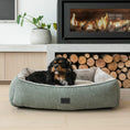 Load image into Gallery viewer, Superior Dog Lounger - Sage Green
