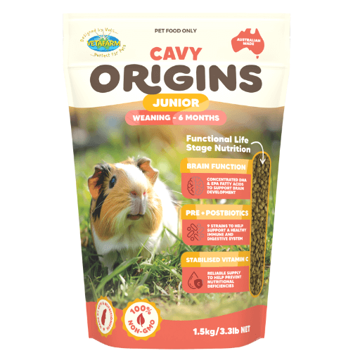 Cavy Origins Junior Guinea Pig