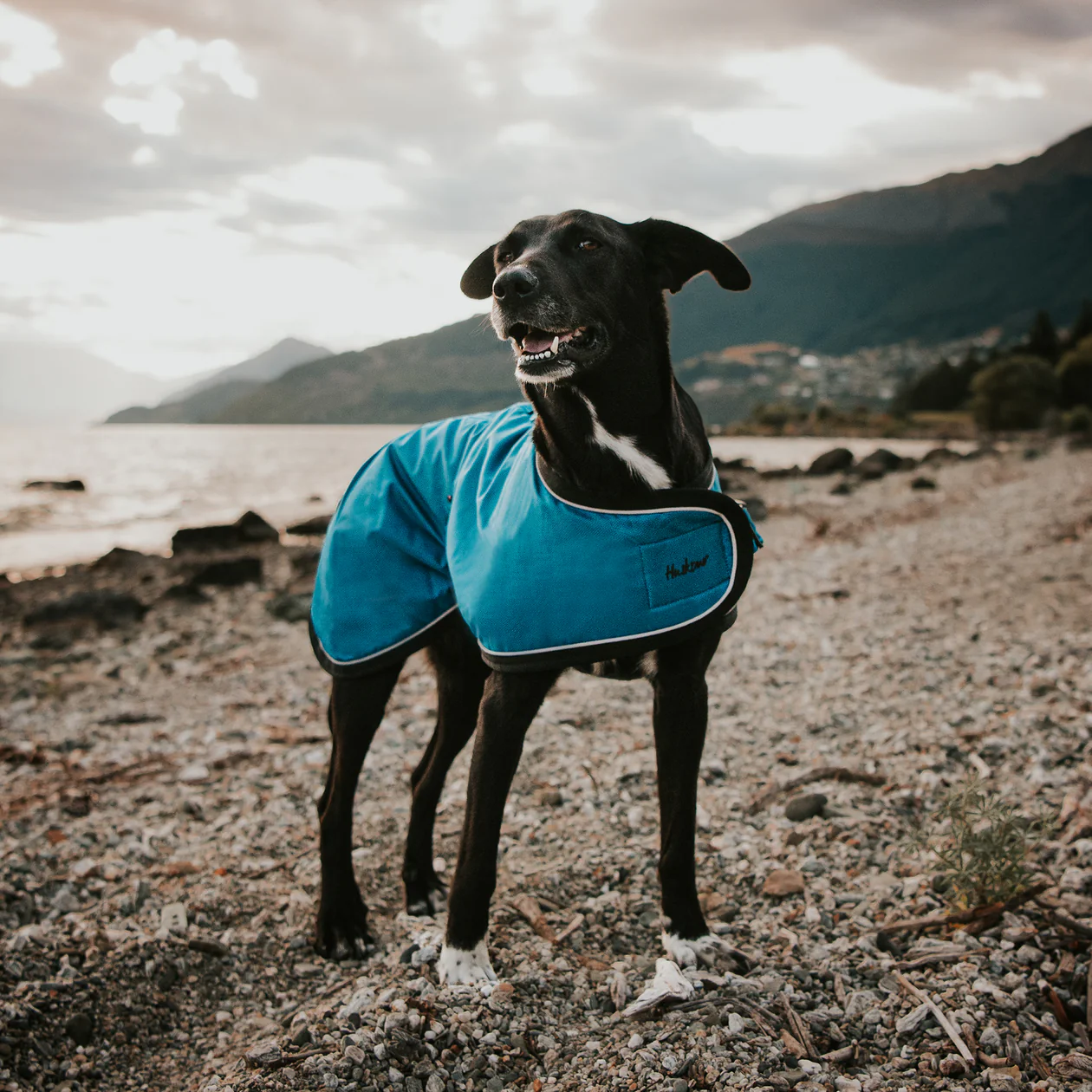 Huskimo Summit Pro Dog Coat - Bells Beach
