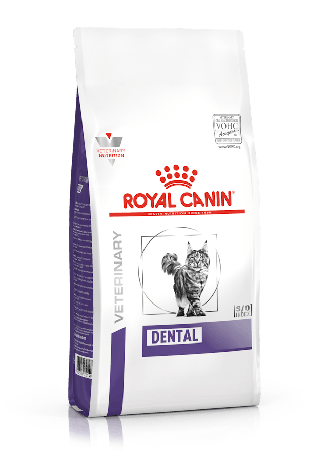 Royal Canin Dental Care Adult Dry Cat Food
