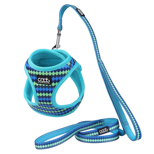 Caat - Cat Harness and Leash Combo - Dash