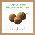 Load image into Gallery viewer, Ivory Coat - Grain Free Puppy Large Breed Lamb 13kg
