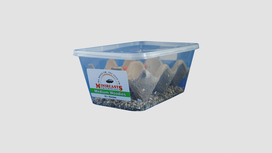 Minibeasts Tubs - Woodies