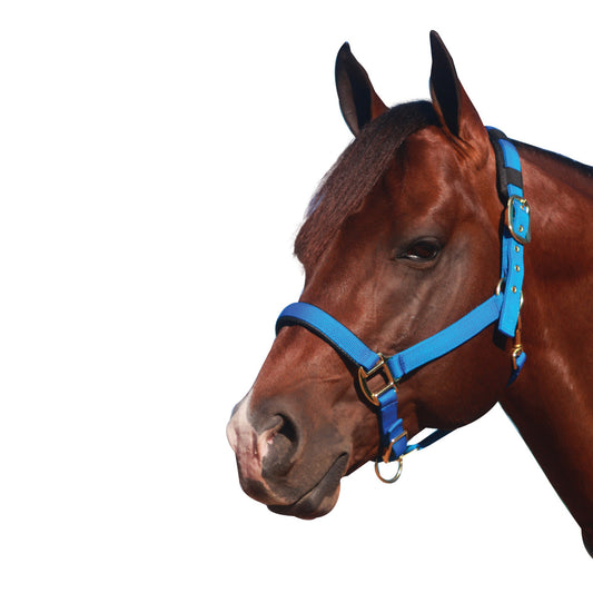 Showcraft - Deluxe Transport Halter Cob