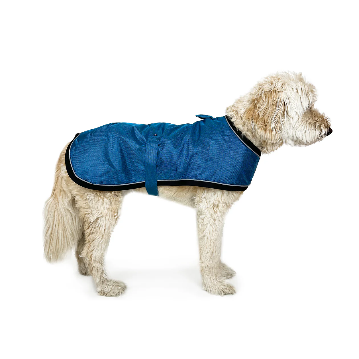 Huskimo Summit Pro Dog Coat - Bells Beach