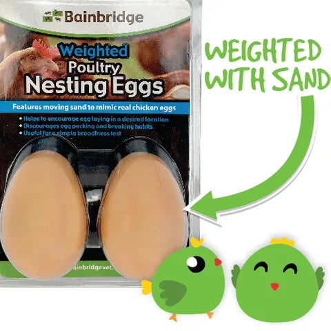 Bainbridge - Weighted  Nesting Eggs
