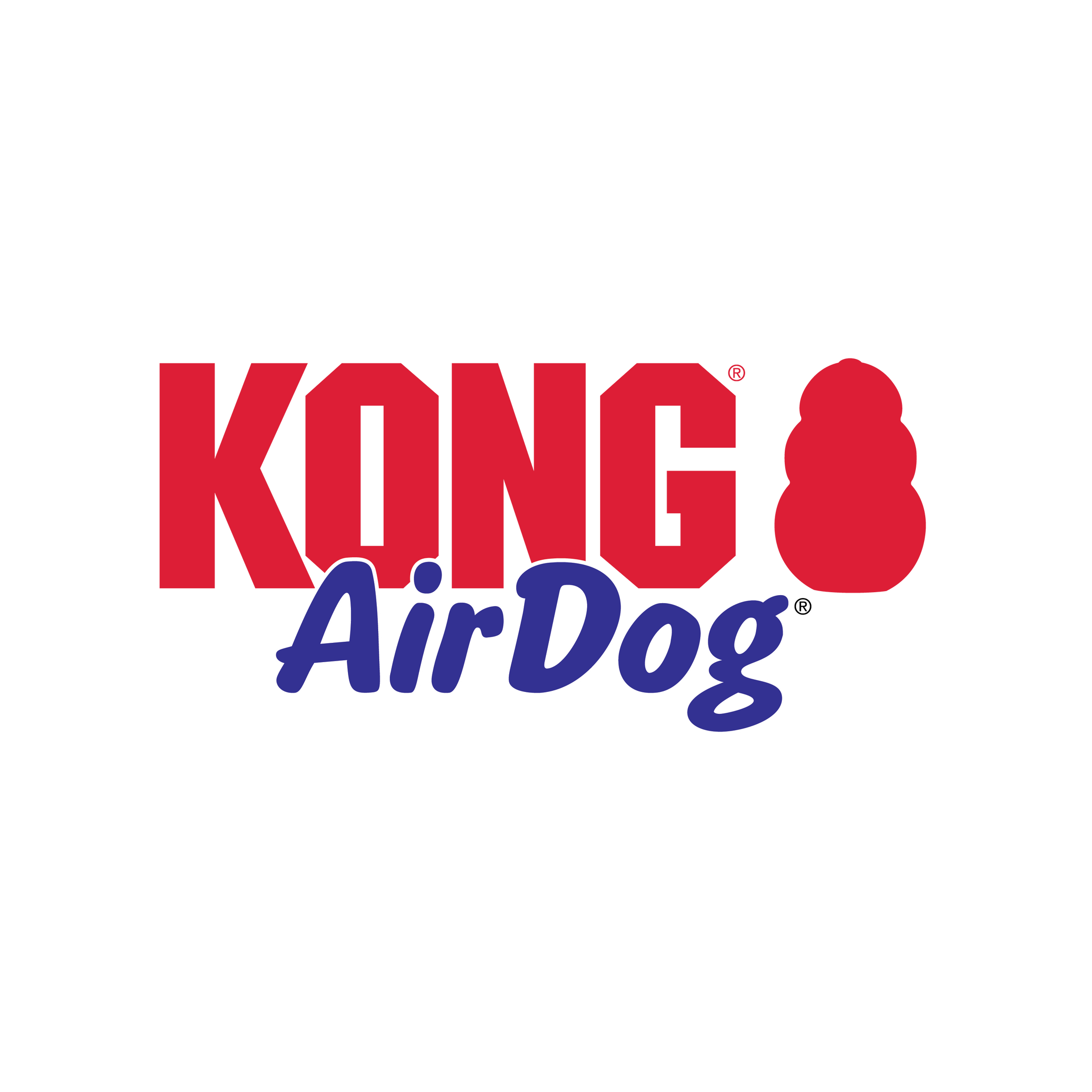 Kong AirDog Bone