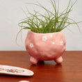 Load image into Gallery viewer, Daisy Ceramic Planter
