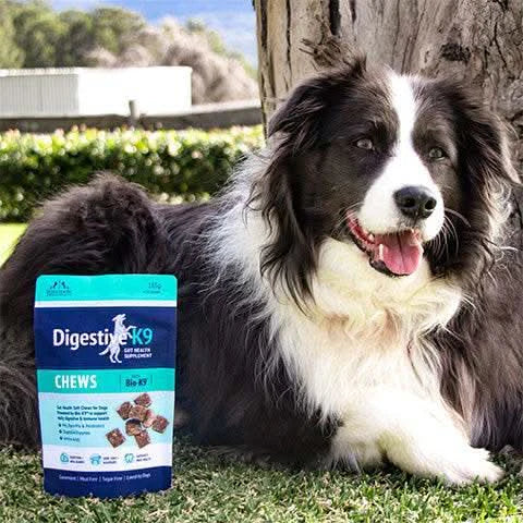 Poseidon - DigestiveK9 Chews