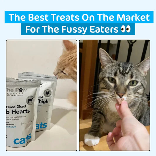 The Paw Grocer - Freeze Dried Diced Lamb Hearts for Cats