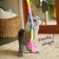 Load image into Gallery viewer, Fluffy Rainbow Tail
