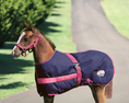 Load image into Gallery viewer, Thermo Master 600D 200G Fill Growing Foal Rug
