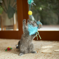 Load image into Gallery viewer, Bluebird Chase & Play Wand
