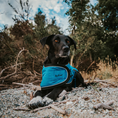Load image into Gallery viewer, Huskimo Summit Pro Dog Coat - Bells Beach
