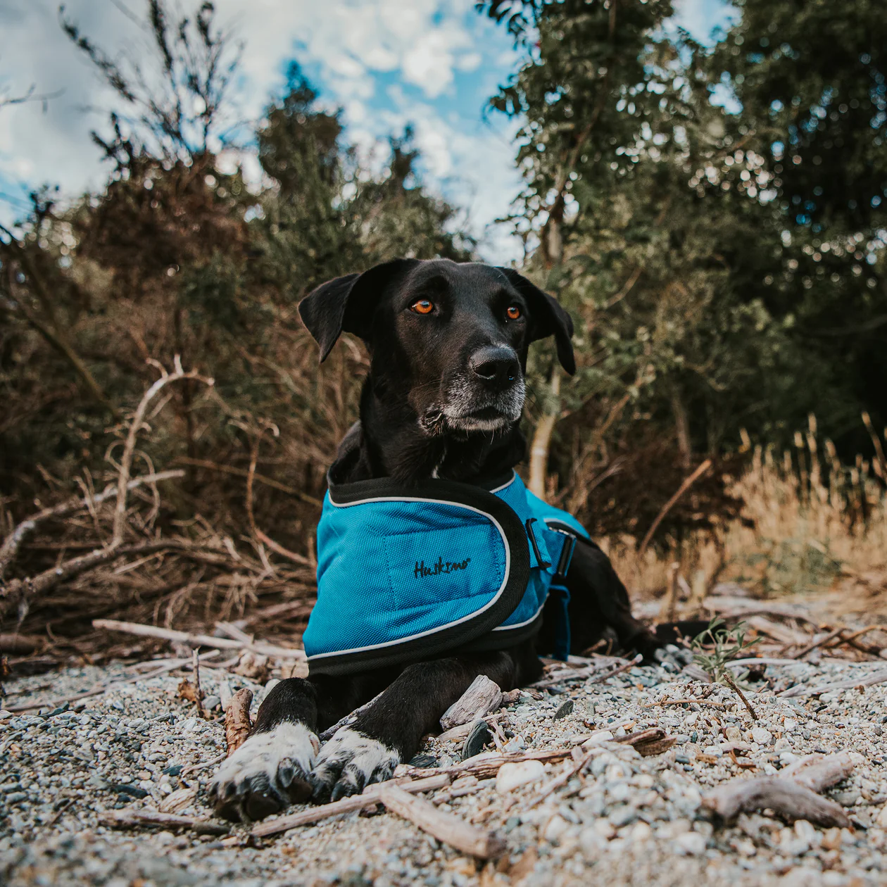 Huskimo Summit Pro Dog Coat - Bells Beach