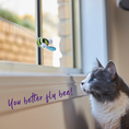 Load image into Gallery viewer, Bouncy Bee with catnip and spring suction cap

