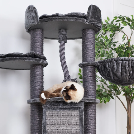 Kitty Scratch & Sleep Post