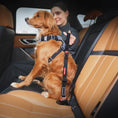 Load image into Gallery viewer, EzyDog - Click Zero Shock Seatbelt Attachment
