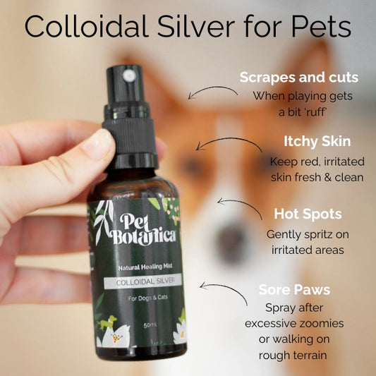 Pet Botanica Colloidal Silver for Pets 50ml
