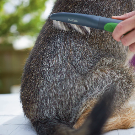 Kazoo - Moulting Comb