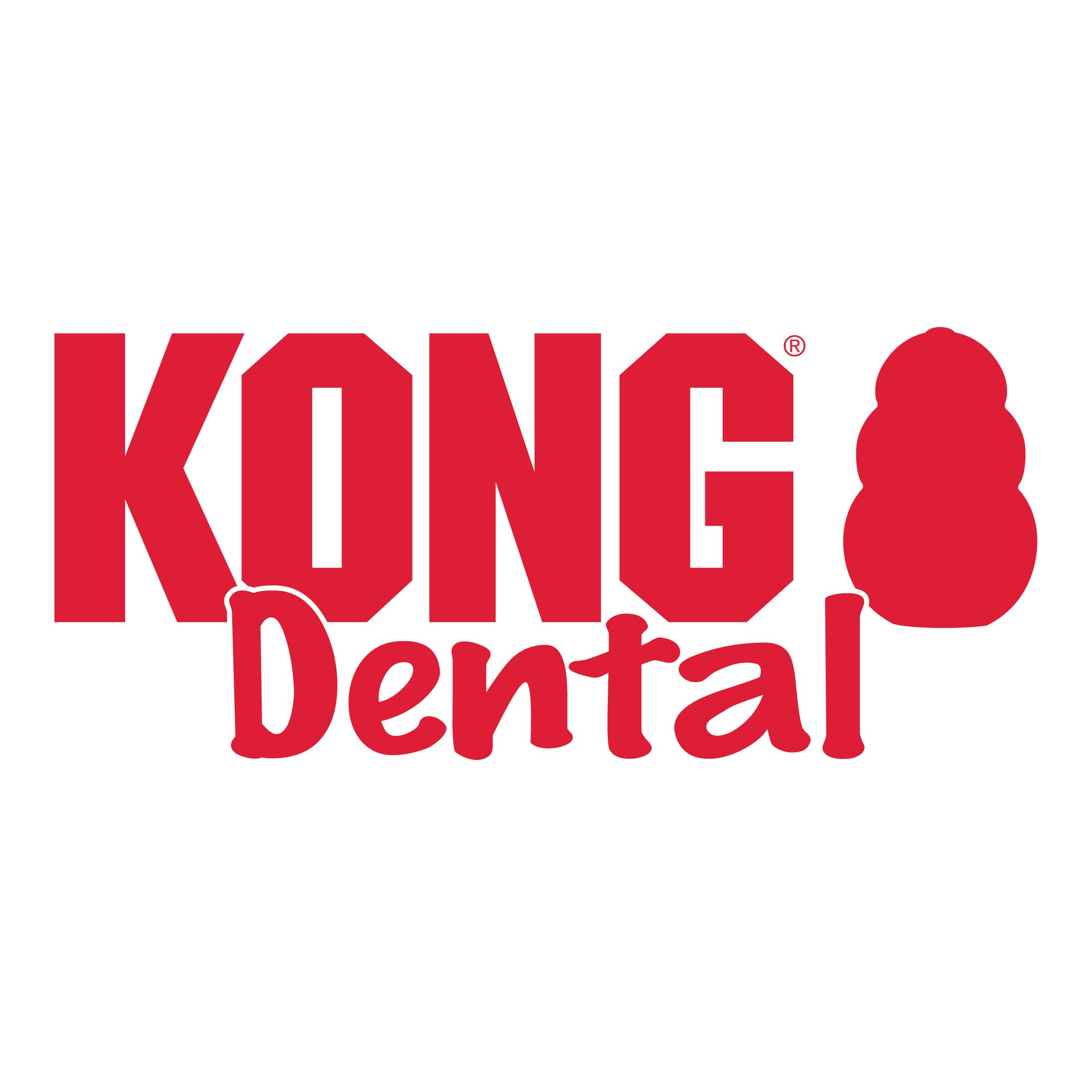 KONG® Dental w/Rope