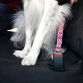 Load image into Gallery viewer, Doog Car Restraint - Toto
