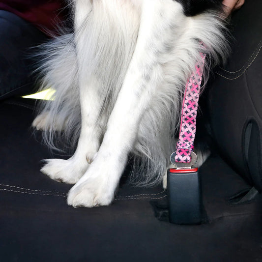 Doog Car Restraint - Toto