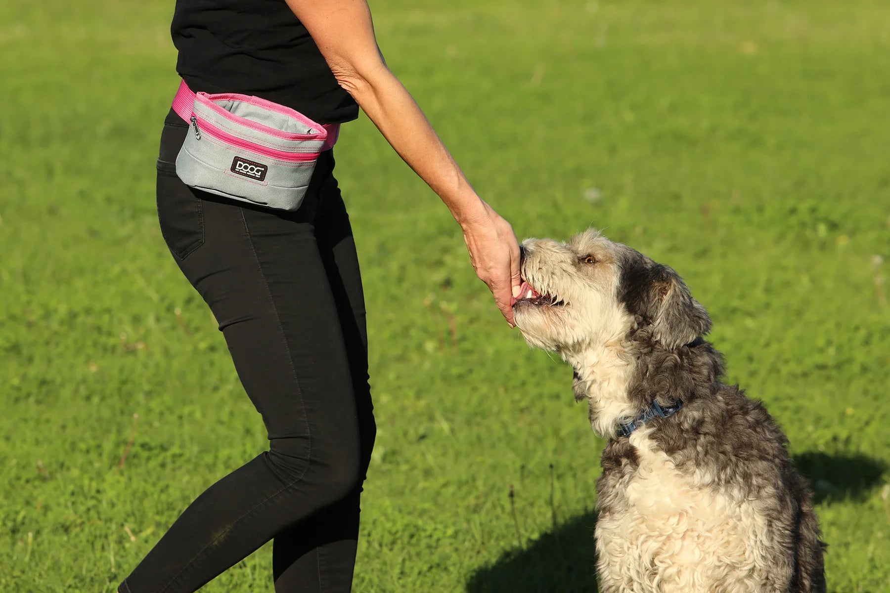 DOOG Treat and Training Pouch W/ Hinged closure