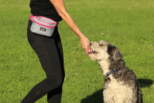 DOOG Treat and Training Pouch W/ Hinged closure