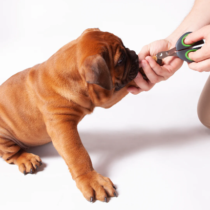 Kazoo - Puppy & Cat Nail Clipper