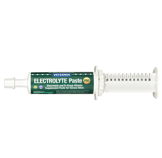 Vetsense Electrolyte Paste PRO