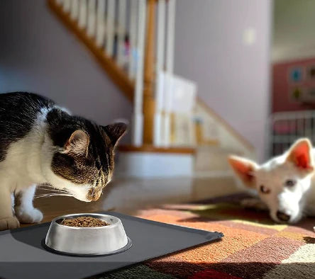 All Fur You Silicone Pet Feeding Mat