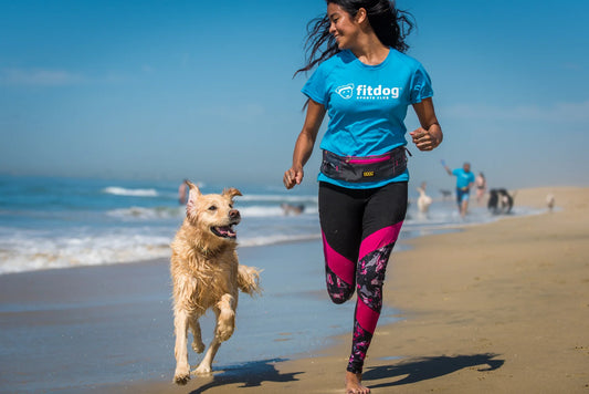 DOOG - Walkie Belt Grey/Pink