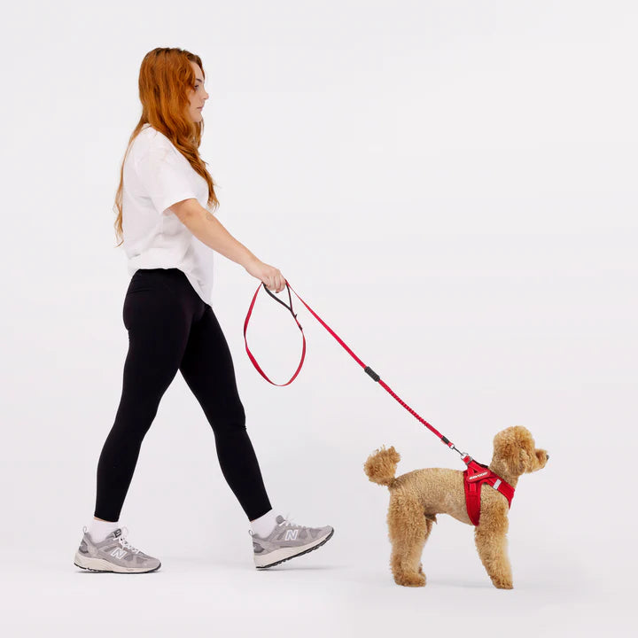FORMFIT Mesh Harness