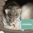 Load image into Gallery viewer, Oxbow - Garden Select Adult Rat Food
