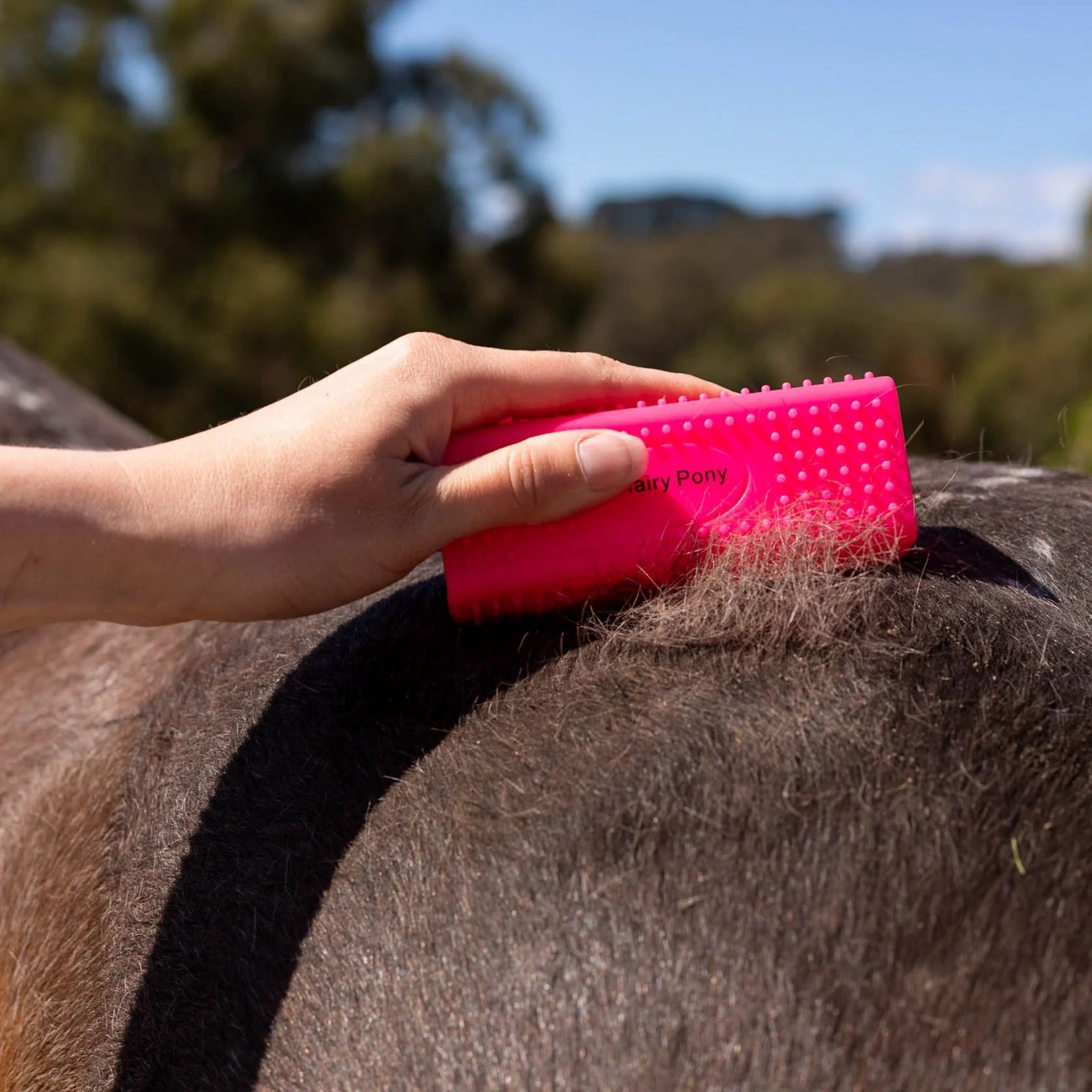 Horse Grooming Block