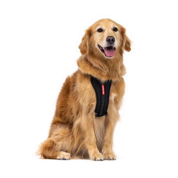 EzyDog - Essential Chest Plate Harness