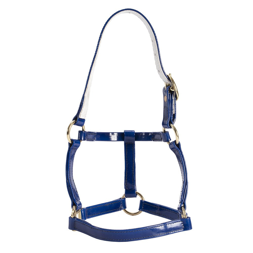 Horse Sense Mini Halter