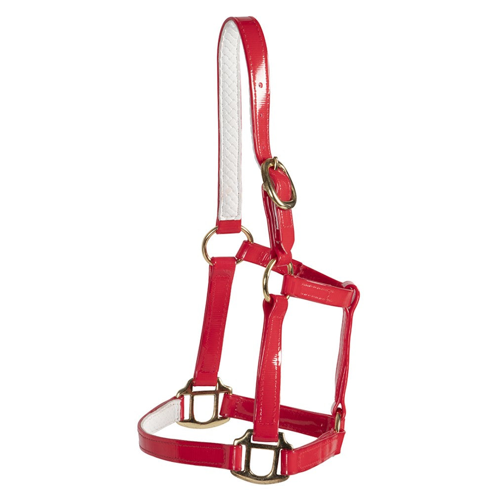 Horse Sense Mini Halter