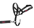Load image into Gallery viewer, Halti Headcollar
