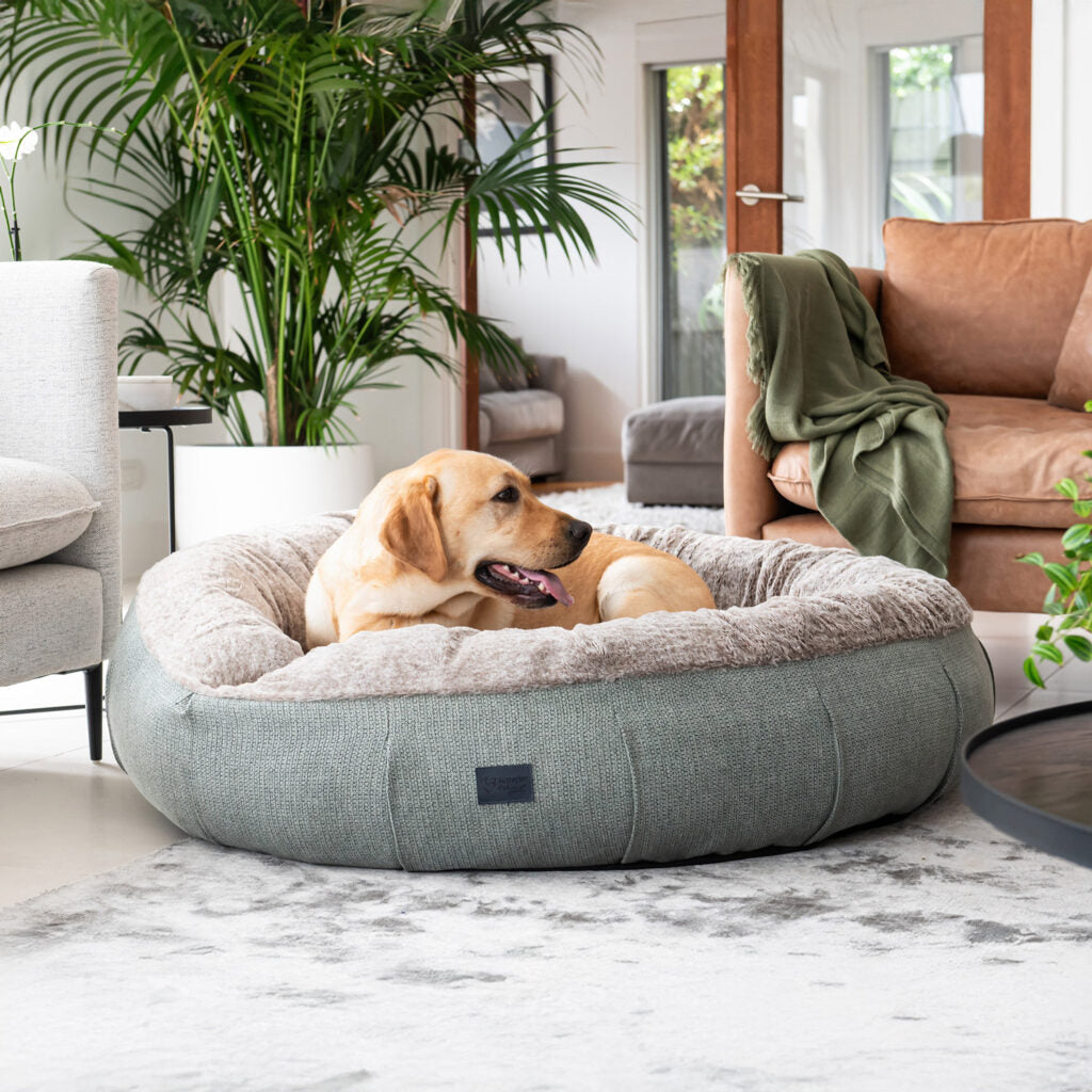 Harley Dog Bed