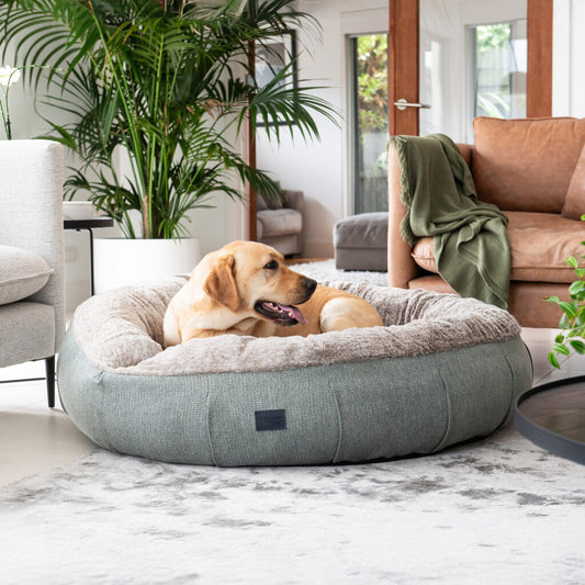 Harley Dog Bed