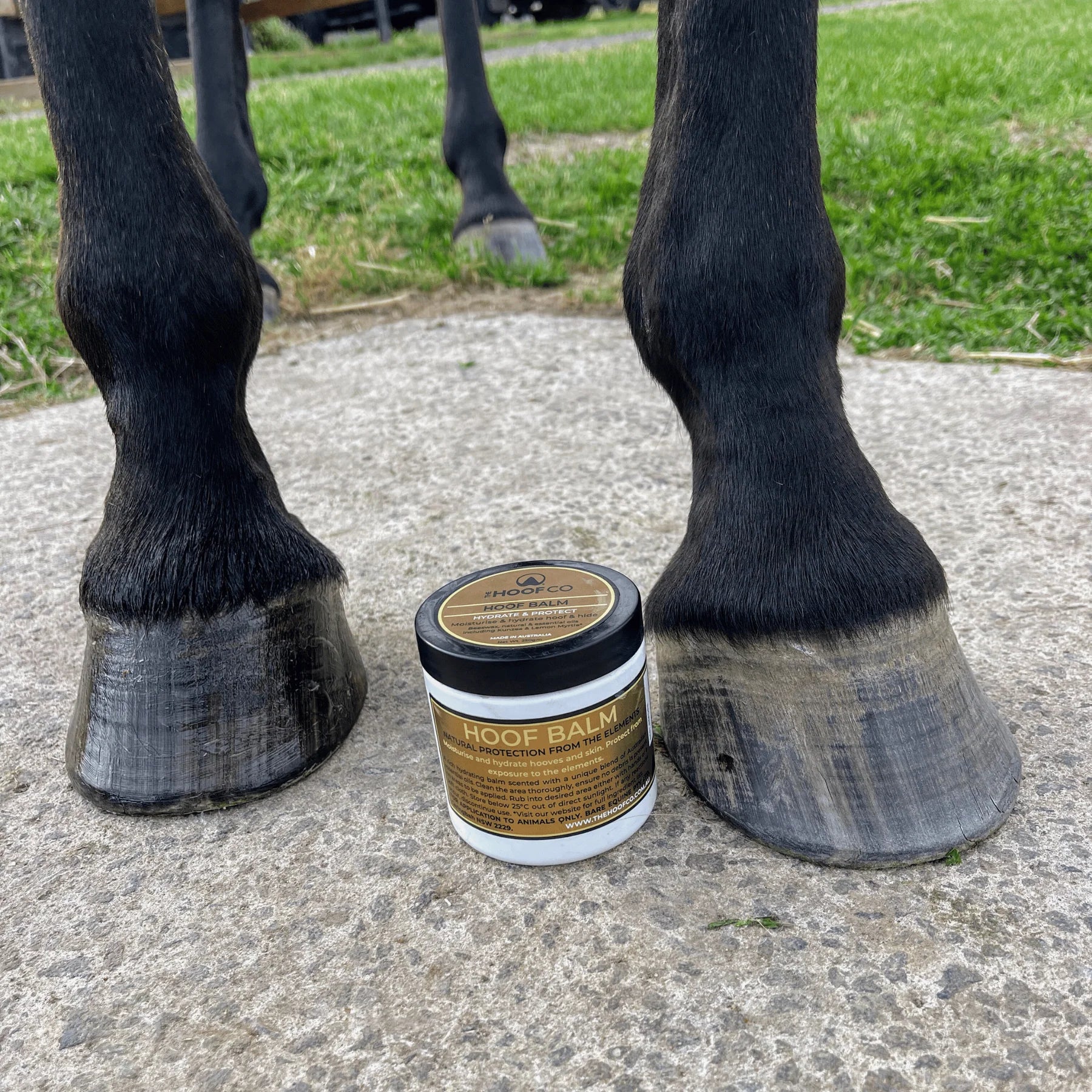 Hoof Balm- Lube those hooves