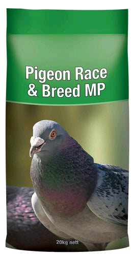 Laucke Pigeon Race & Breed MP