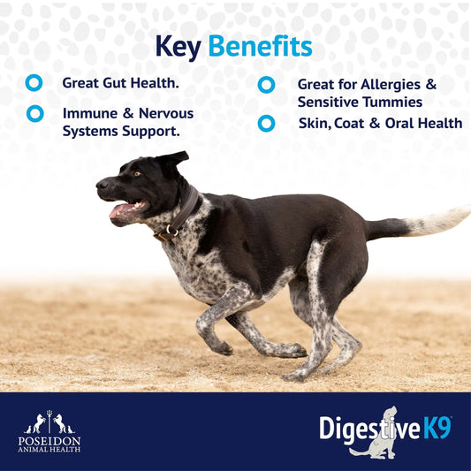 Poseidon - DigestiveK9 Powder