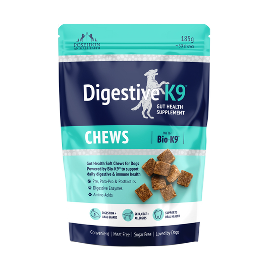 Poseidon - DigestiveK9 Chews