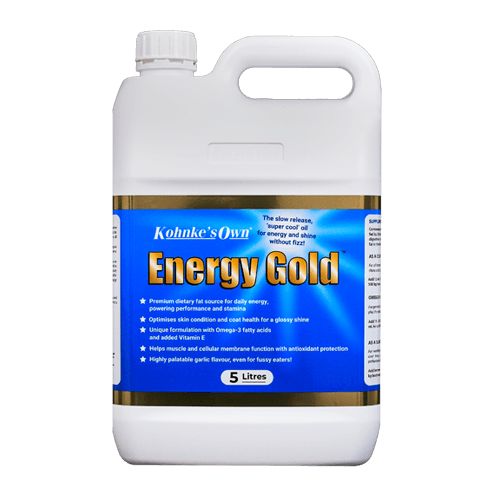 Kohnke’s Energy Gold