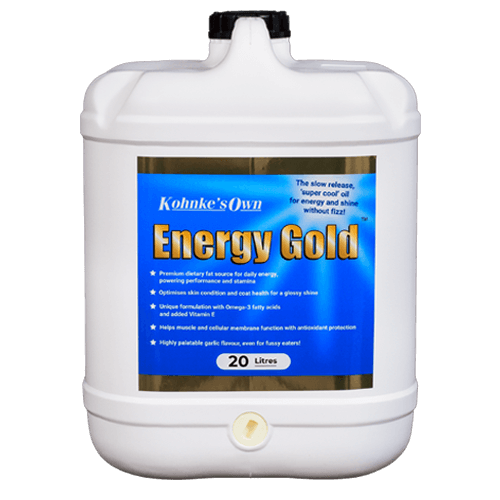 Kohnke’s Energy Gold