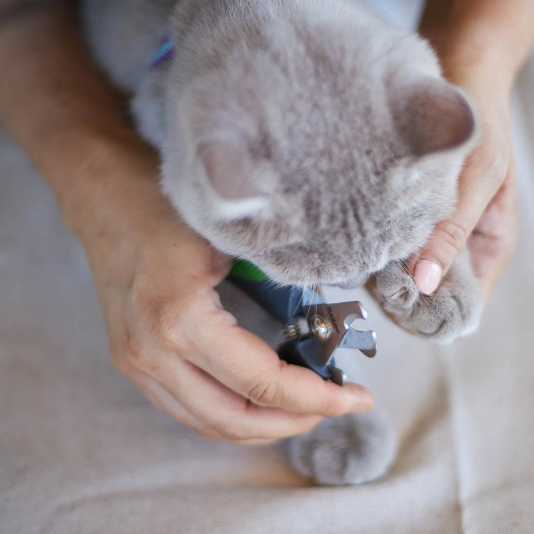 Kazoo - Deluxe Nail Clipper