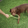 Load image into Gallery viewer, Tug O War Rubber Dog Toy
